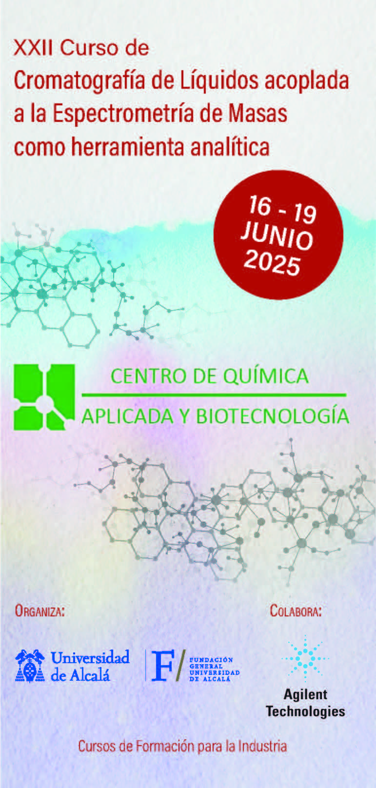 XXII Curso de Cromatografía de Líquidos acoplada a la Espectrometría de Masas como herramienta analítica